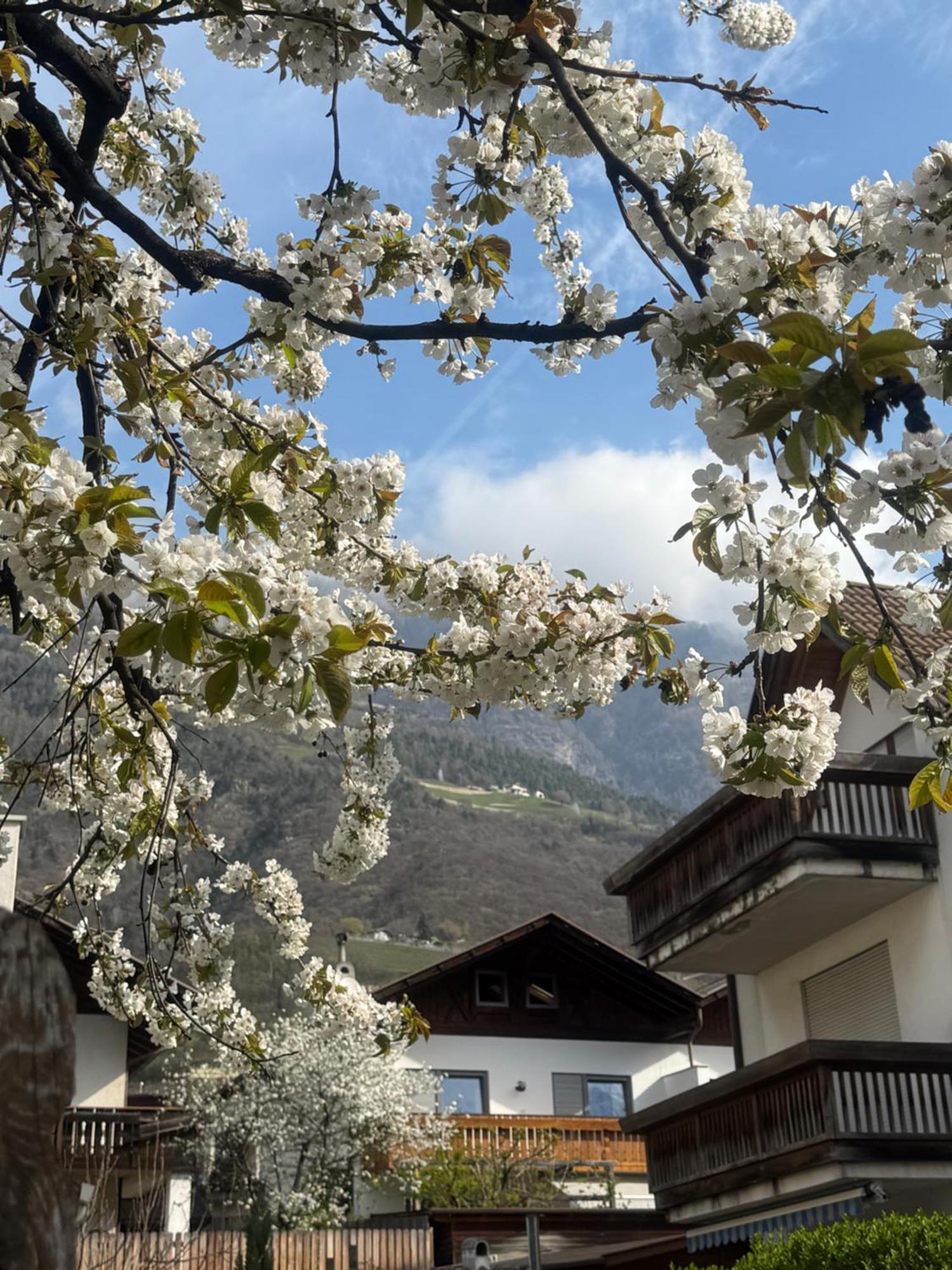 Ferienwohnung Im Zentrum ナトゥルノ エクステリア 写真